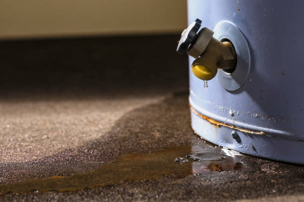 Best Water damage cleanup near me  in Acworth, GA