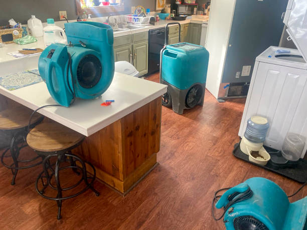 Best Carpet water damage restoration  in Acworth, GA