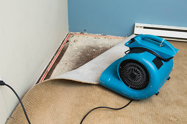Best Water damage contractors near me  in Acworth, GA
